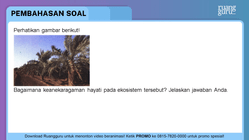 Pembahasan
