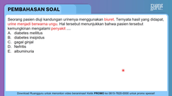 Pembahasan