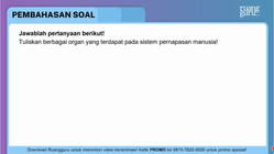 Pembahasan