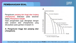 Pembahasan