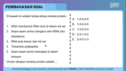Pembahasan