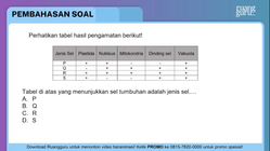 Pembahasan