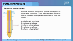 Pembahasan