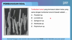 Pembahasan
