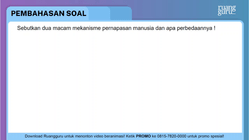 Pembahasan