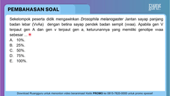 Pembahasan