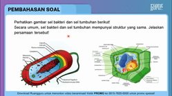 Pembahasan