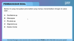 Pembahasan