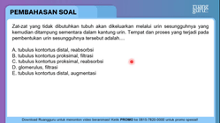 Pembahasan