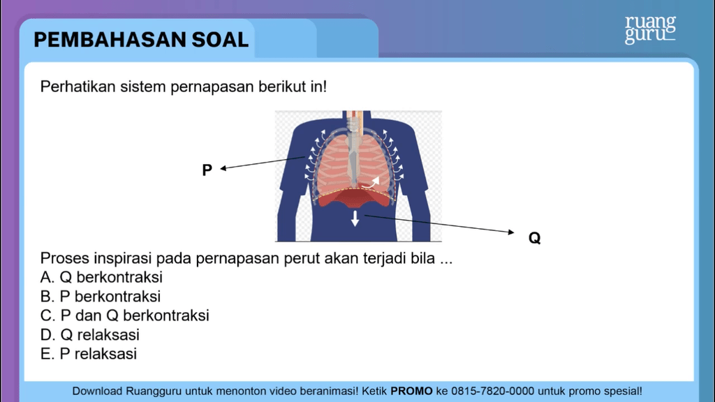 Perhatikan Sistem Pernapasan Berikut In! Pro...