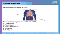 Pembahasan