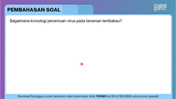 Pembahasan