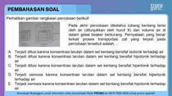 Pembahasan