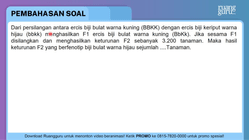 Pembahasan