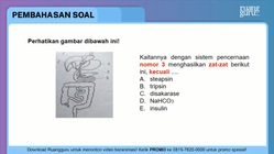 Pembahasan