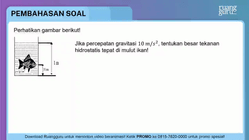 Pembahasan