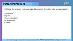 Pembahasan