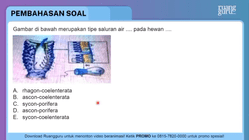 Pembahasan