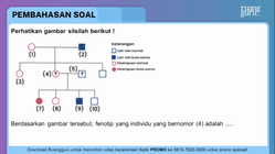 Pembahasan