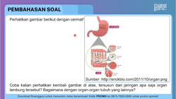 Pembahasan