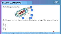 Pembahasan