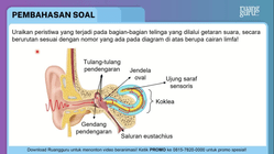 Pembahasan