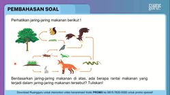 Pembahasan