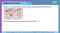 Pembahasan
