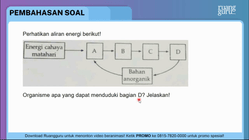 Pembahasan