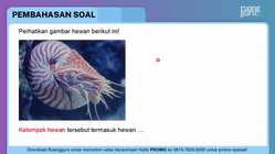 Pembahasan