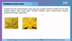 Pembahasan