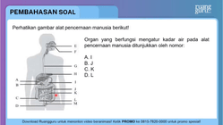 Pembahasan