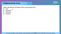 Pembahasan