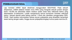 Pembahasan