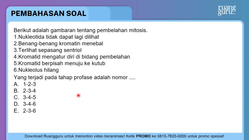 Berikut adalah gambaran tentang pembelahan mitosis...