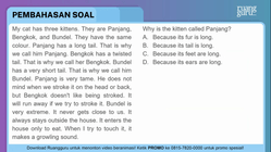 Pembahasan