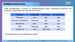 Pembahasan