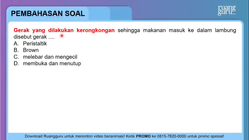 Pembahasan
