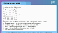 Pembahasan