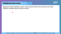 Pembahasan