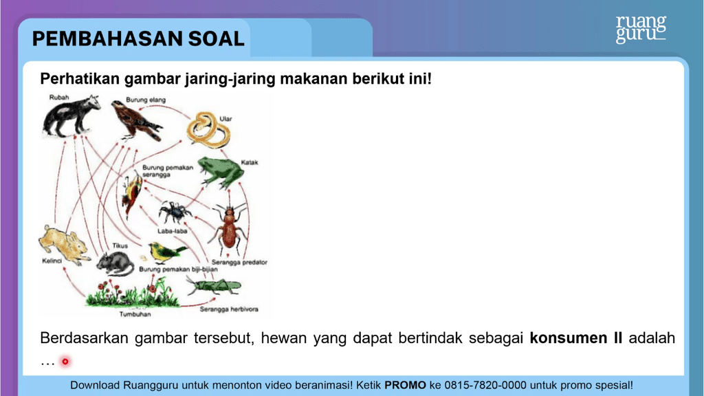 Perhatikan Gambar Jaring-jaring Makanan Berikut In...