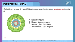 Pembahasan