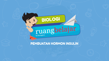 Pembuatan Hormon Insulin
