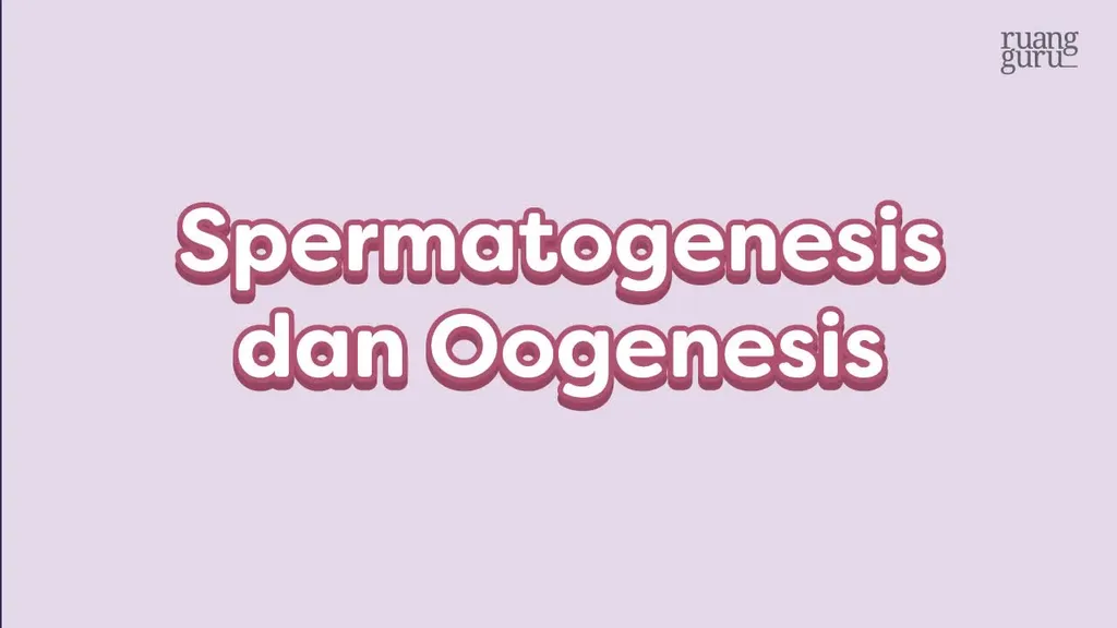 Video Belajar Spermatogenesis Dan Oogenesis Biologi Untuk Kelas