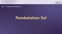 Pembelahan Sel