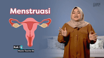 Siklus Menstruasi