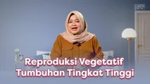 Reproduksi Vegetatif Tumbuhan Tingkat Tinggi