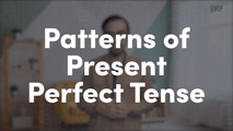 Patterns of Present Perfect Tense