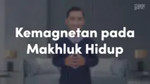 Kemagnetan pada Makhluk Hidup