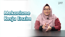 Mekanisme Kerja Enzim